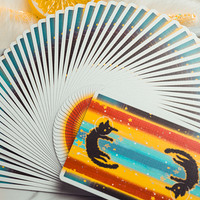 Space Cat V2 Playing Cards by King Star