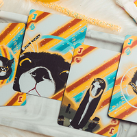 Space Cat V2 Collector's Box Set Playing Cards by King Star