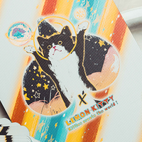 Space Cat V2 Collector's Box Set Playing Cards by King Star