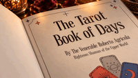 Tarot Book of Days by Bob Farmer
