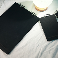 Svengali Album by Winston & TCC Magic (Postcard Size)