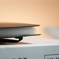 Svengali Album by Winston & TCC Magic (Postcard Size)