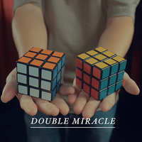 Henry Harrius Presents Crazy Sam's Paradox Cube