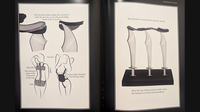 A Visual History of Theatrical Levitation by David Haversat
