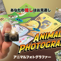 Animal photographer