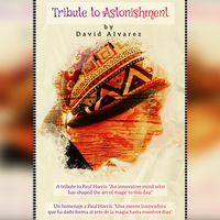 Tribute to Astonishment (Explanations in English and Spanish) by David Miro video DOWNLOAD