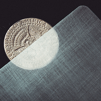 Transparent Matrix (Half Dollar) 2024 by Richard Mo