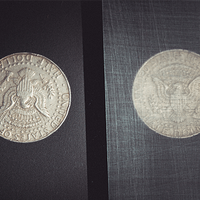 Transparent Matrix (Half Dollar) 2024 by Richard Mo