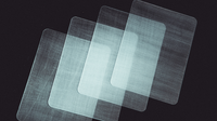 Transparent Matrix (Half Dollar) 2024 by Richard Mo
