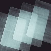 Transparent Matrix (Half Dollar) 2024 by Richard Mo