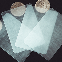 Transparent Matrix (Half Dollar) 2024 by Richard Mo