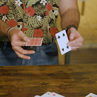 Ultimate Free Choice by Alexander Hermann