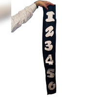 Jumbled Numbers by The Essel Magic