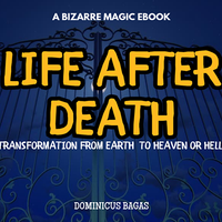 Life After Death by Dominicus Bagas eBook DOWNLOAD