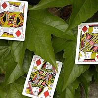 Mantis Playing Cards (Marked)