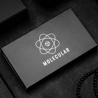 T-1000 Plus by Nemo and Hanson Chien