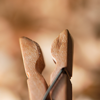 PIN by Flat Base & TCC Magic