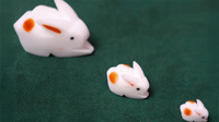 The Bunnies! 3D Rabbits (Parents, Kids & Grandpa)
