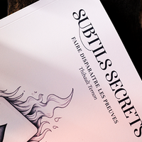 Subtle Secrets 1 by Thibault Ternon