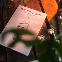 Subtle Secrets 1 by Thibault Ternon