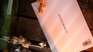 Subtle Secrets 1 by Thibault Ternon