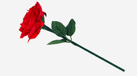 Reborn Rose by JL Magic
