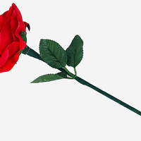 Reborn Rose by JL Magic