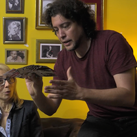 Instant Paper to Money (Australia) by Miguel Pizarro