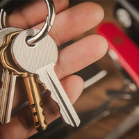 Swiss Key by Nicholas Lawrence and Hanson Chien