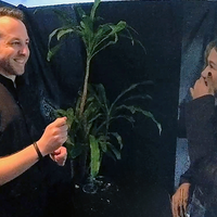 Echo Book Test by Vincent Hedan (Tarot de Marseille)