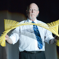 Nankin Tamasudare by Martin Lewis