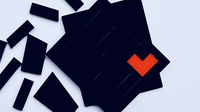 Tangram Paradox Mini
