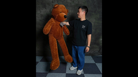Teddy Bear Appearance (Extra Large) by MS Magic
