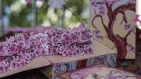 Sakura Renaissance 3D Pop-up Sunlight Edition Playing Cards

