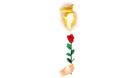 Instant Rose by Vincenzo DiFatta
