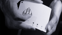 More Drawing Room Deceptions by Guy Hollingworth
