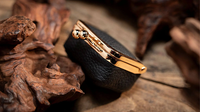 Coin Bag by TCC Magic
