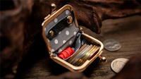 Coin Bag by TCC Magic
