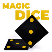 Dice Transpo by Magic Makers
