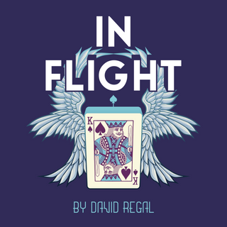 In Flight (Tossed Out Deck) by David Regal