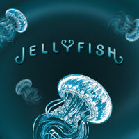 Jellyfish Playing Cards by Drew Hughes
