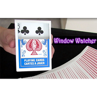 Window Watcher by Aaron Plener - Video DOWNLOAD