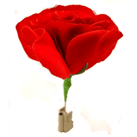 Match to Rose by Mr. Magic - Trick