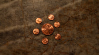 Raven Mini Penny by Penguin Magic
