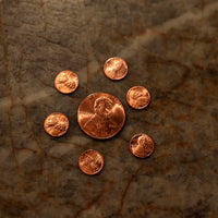 Raven Mini Penny by Penguin Magic
