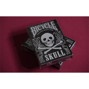 Bicycle Skull Metallic (Silver) USPCC by Gambler's Warehouse