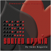 Sorted Affair by Sean Bogunia