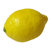 Super Real Latex Lemon - Trick