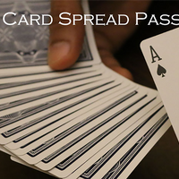Magic Encarta Presents Single Card Spread Pass by Vivek Singhi video DOWNLOAD