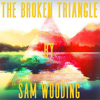 The Broken Triangle by Sam Wooding eBook DOWNLOAD